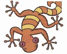 Shredderman: Meet the Gecko