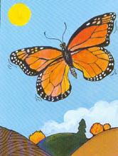 Monarch Butterfly