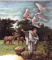 Mufaro’s Beautiful Daughters: An African Tale