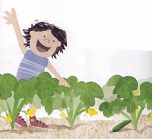 Las Calabacitas de Zora